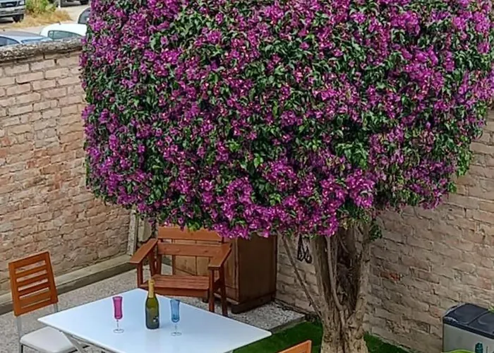 度假居 Villino La Bouganville *